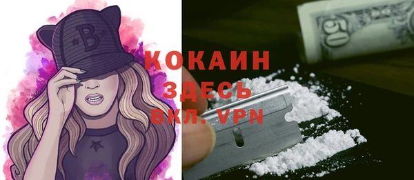 мяу мяу мука Пестово