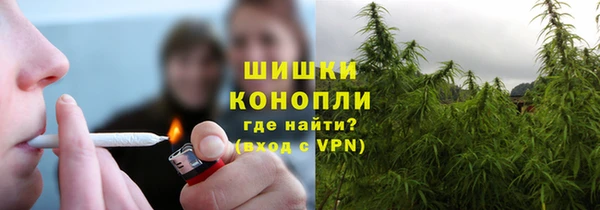 мяу мяу мука Пестово
