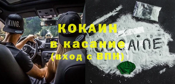 мяу мяу мука Пестово