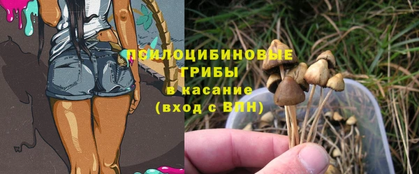 амф Пересвет