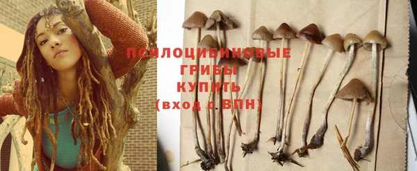 амф Пересвет