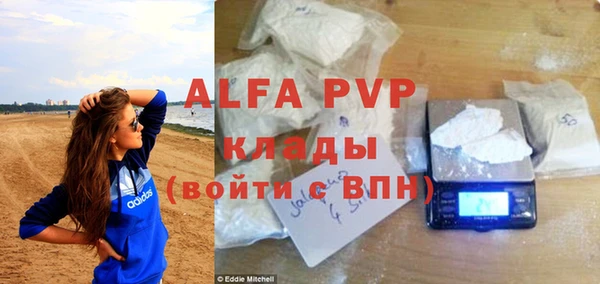 амф Пересвет
