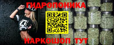 хмурый Аргун