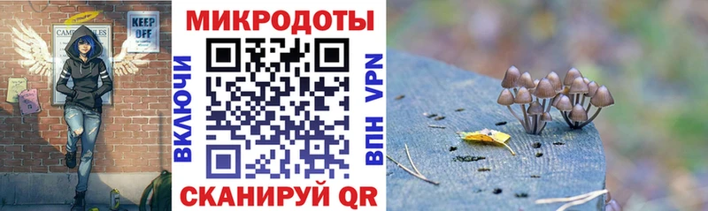 как найти   Ахтубинск  Псилоцибиновые грибы мицелий 