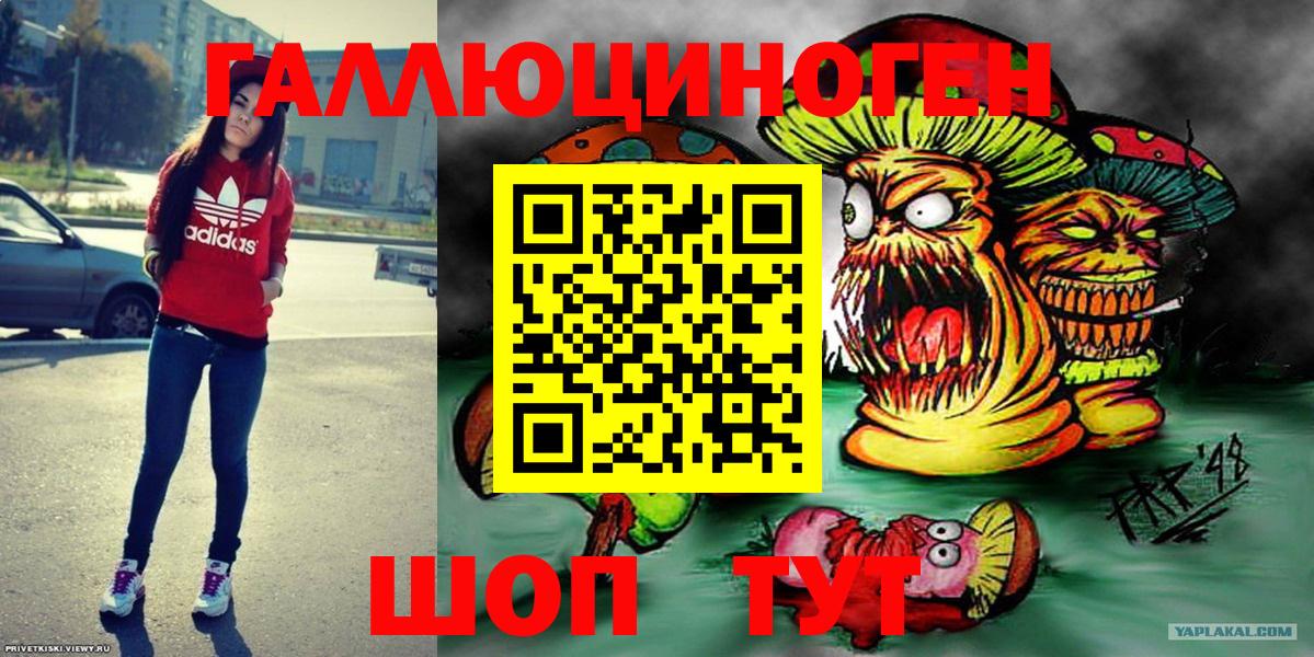Галлюциногенные грибы Cubensis  Вход с VPN  Ахтубинск 