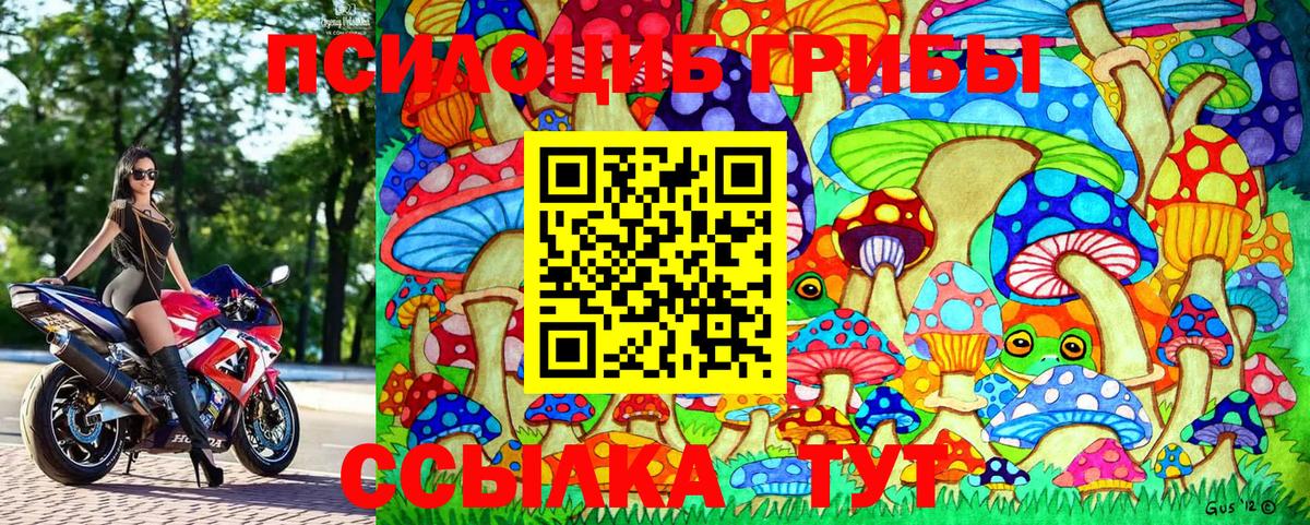 Псилоцибиновые грибы Psilocybine cubensis  Галлюциногенные грибы мицелий  Ахтубинск 